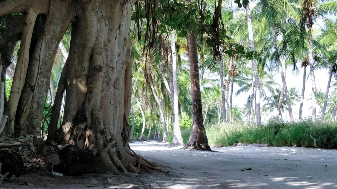 Muraka Inn Thoddoo Luaran gambar