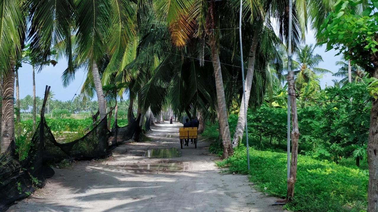 Muraka Inn Thoddoo Luaran gambar