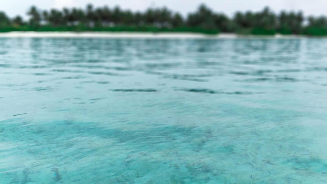 Muraka Inn Thoddoo Luaran gambar